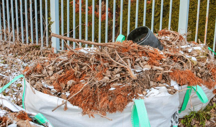 Yard Debris Removal